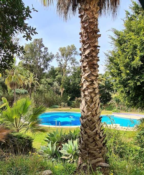 Soleado Apartamento Golf Y A 900 M De La Playa Benalmádena Kültér fotó
